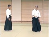 Nishio Aikido: Iriminage