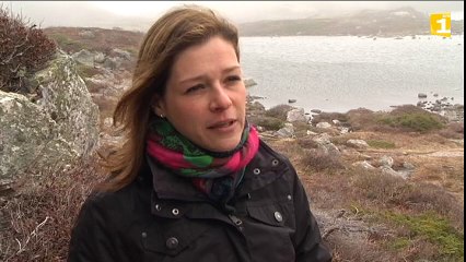 Le Conservatoire du littoral acquiert les terrains de l'anse à Henry