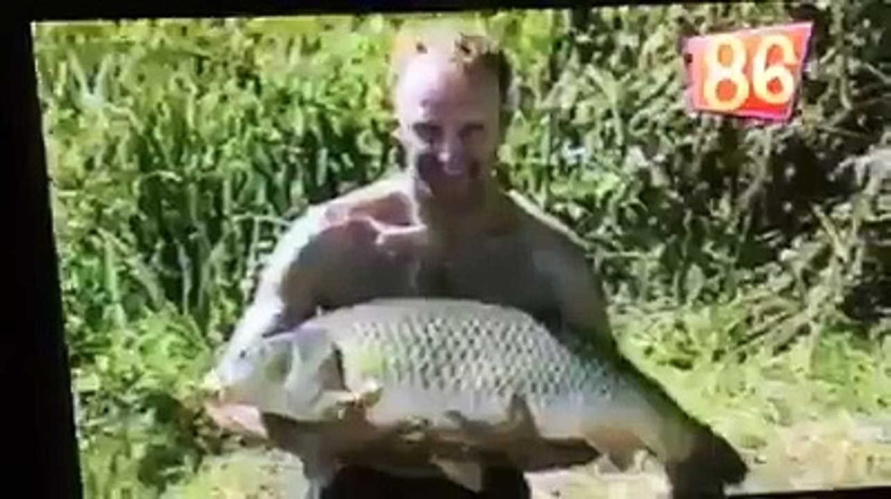 dancing fish