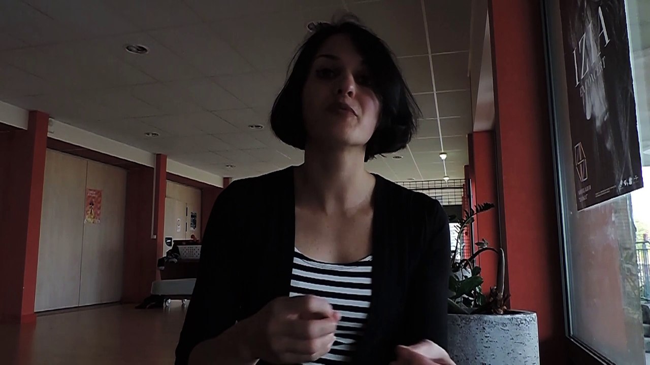 A la rencontre d'Yves Jamait par L'Autre moitié du ciel et Voix de la Haute-Marne.MOV