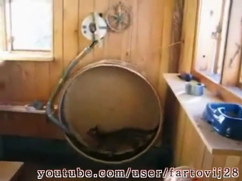 Cat Compilation 2013 Funny Cat Videos #2