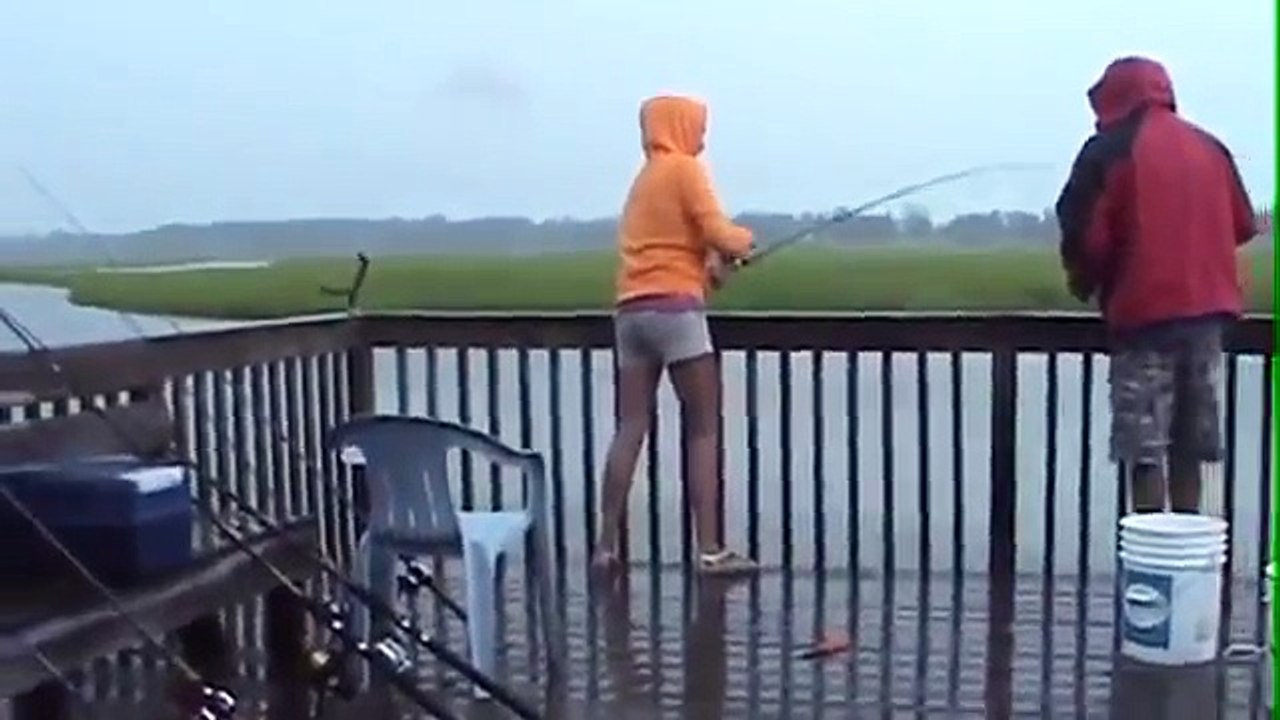 Real shark attack video shark bait FUNNY ACCIDENT VIDEOS funny clips Shark Attacks?syndication=228326