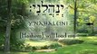 Psalm 23 - תהילים 23  - 