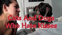 Cute Pets don't want to get Kissed.