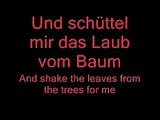Spiel Mit Mir - Rammstein Lyrics and English Translation