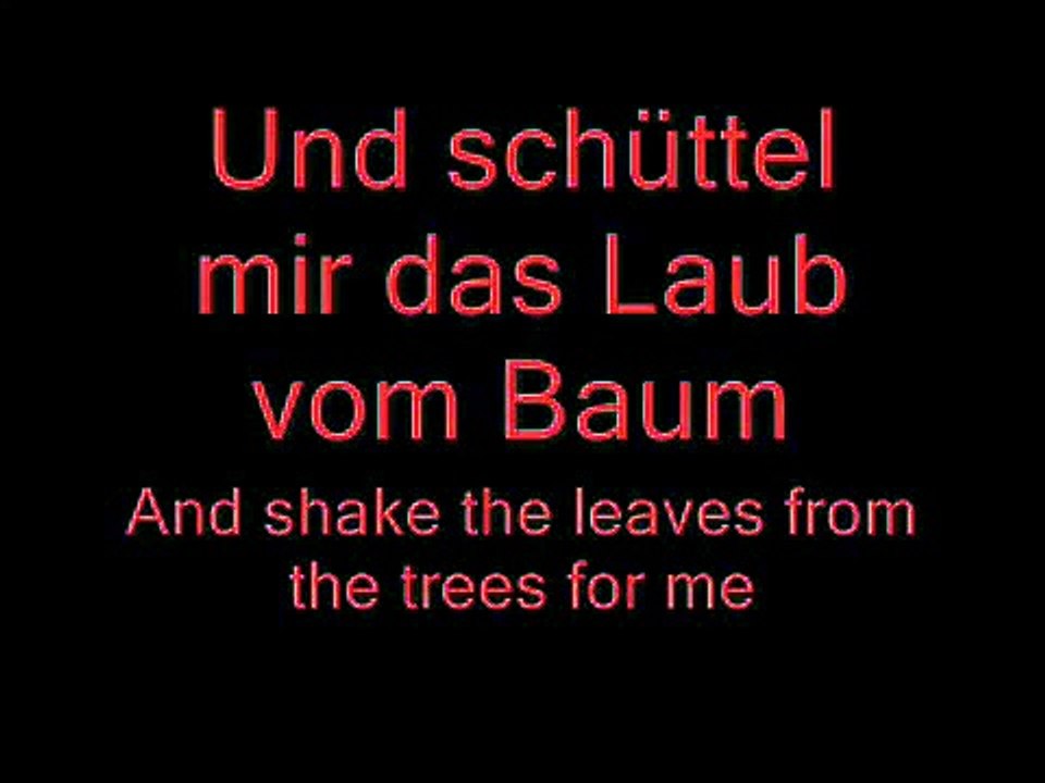 Spiel Mit Mir - Rammstein Lyrics and English Translation
