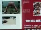Chinese Shaolin Kung Fu