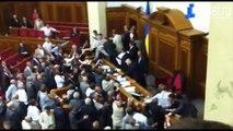 Драка депутатов в Верховной Раде Украины 24.05.2012.