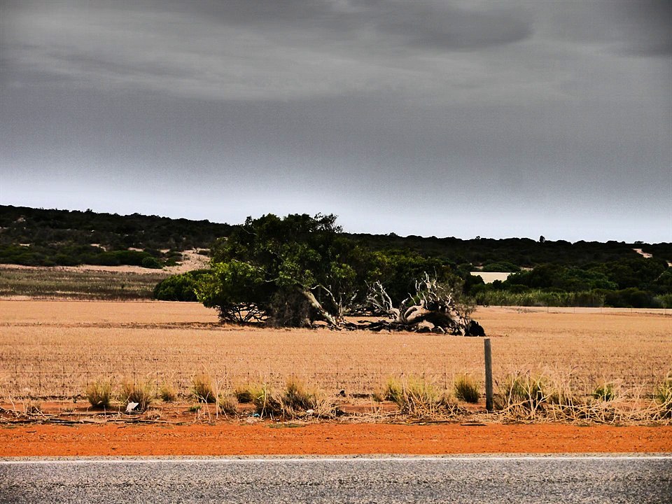 Mélo & Jérémie en Road Trip - Vidéo 2 - De Gerladton à Kalbarri