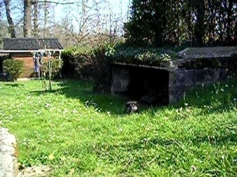 partie de cache-cache