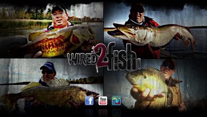 Discover Minn Kota i-Pilot Link: The Ultimate Boat Control System 🚤