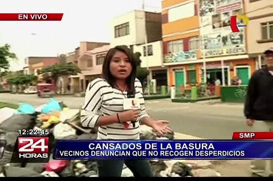 Vecinos de SMP denuncian falta de recojo de basura en el distrito