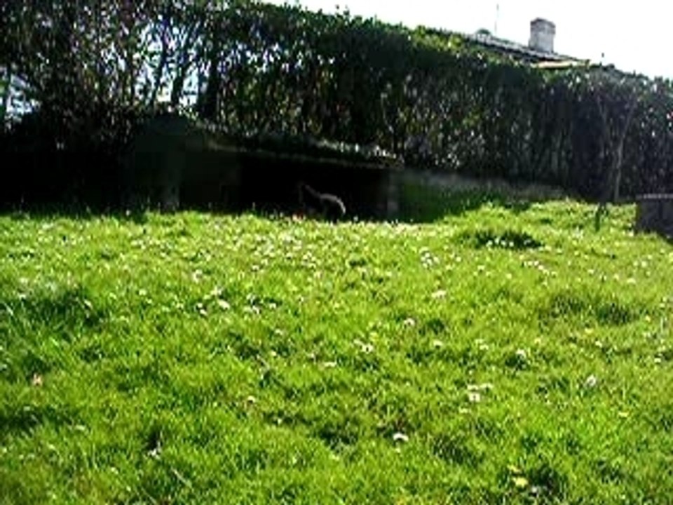 mon jardin