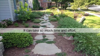 How To Have And Maintain A Beautiful Lawn