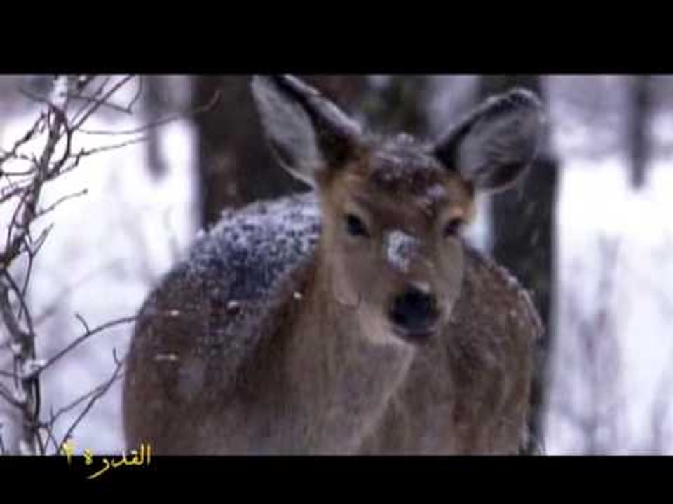 القدرة 2