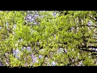 الخلق والإيجاد والتكوين  3