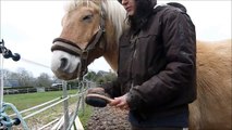 Tuto 11 Tresser la crinière ( crin ) de sont cheval ou poney ( coiffure ) horse pony