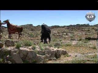 مسلسل الخربة - الحلقة الثالثة