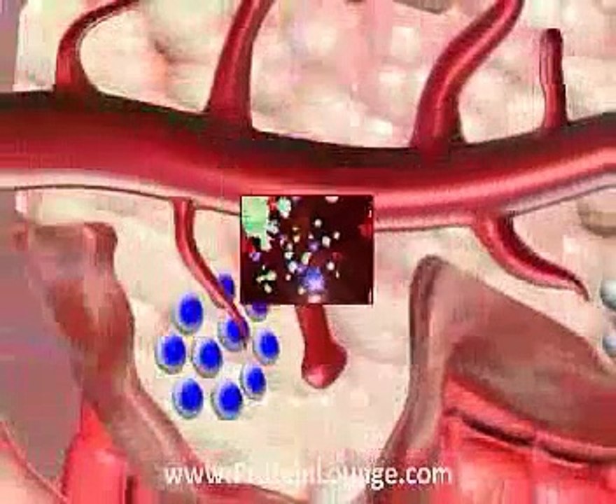 Mechanism of Botulinum Toxin