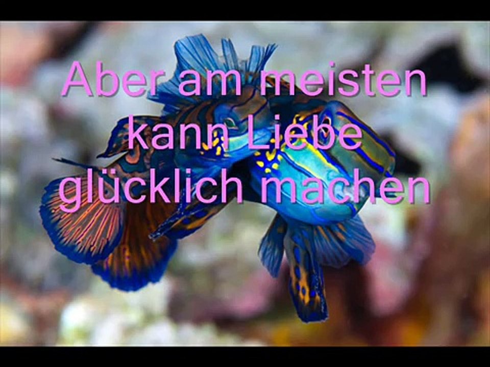 Rosenstolz - Liebe ist alles