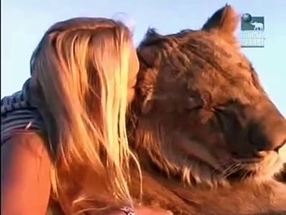 woman hugging a lion ( Marlice Van Der Merwe)