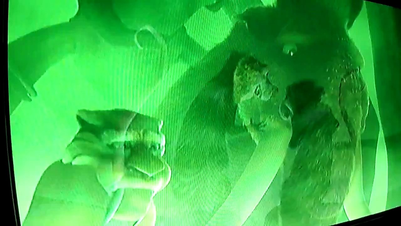 ice age 3 gases