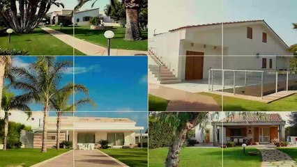 How Professional Contractors Can Help You Have A Beautiful Lawn