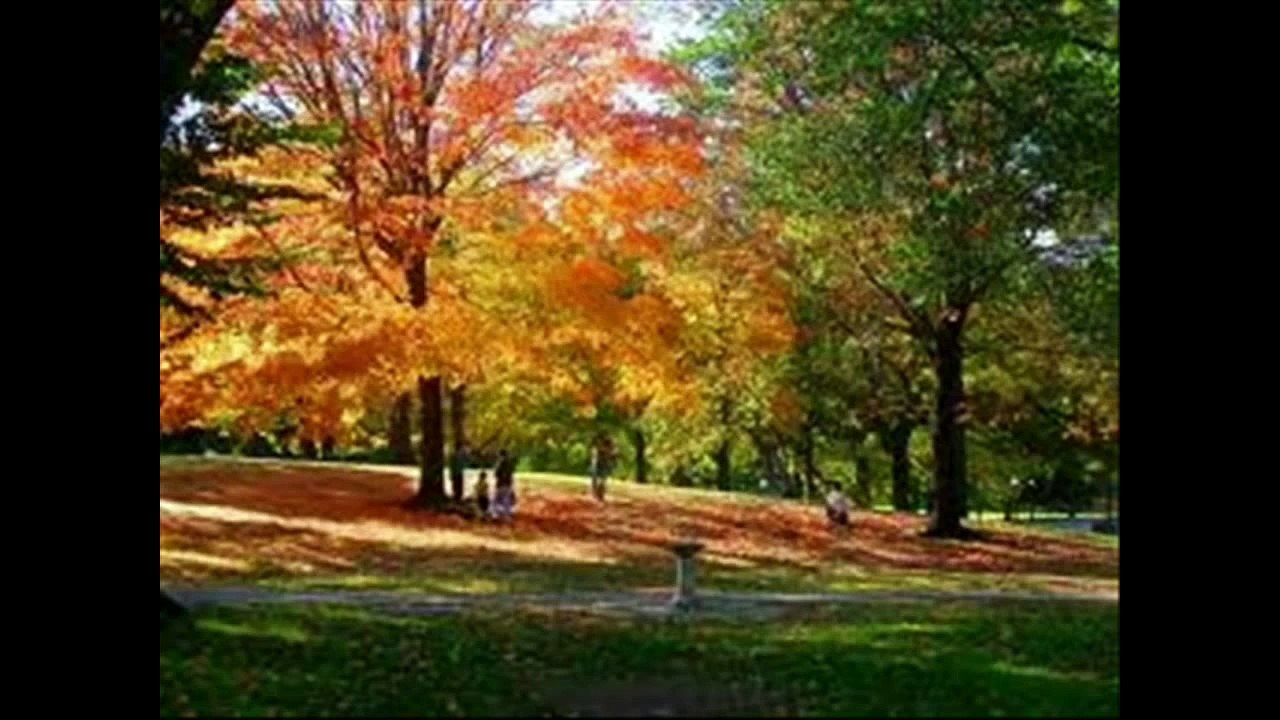 Tú Eres el Resultado de Ti Mismo  :: Pablo Neruda