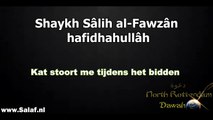 Kat stoort me tijdens het bidden - Shaykh Sâlih al-Fawzân