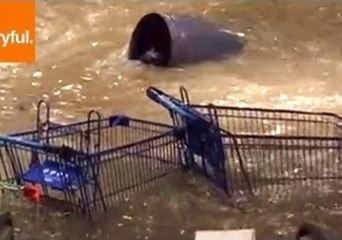 Heavy Flood Bursts Into Queensland Mall
