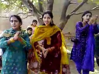 shadi jhomr [Masha Allah mobile Taunsa 03336466861]