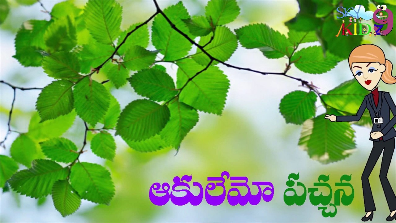 PANCHARANGULU IN TELUGU FOR KIDZ.