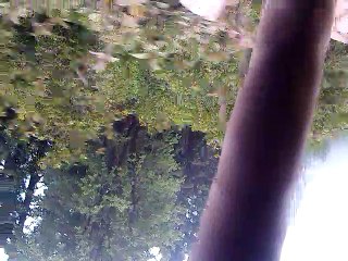 A trip to Shogran, Seri Paye, Pakistan