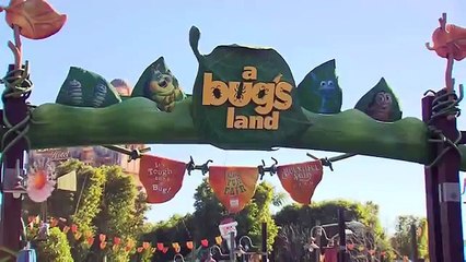 Holidays from a Bug's Point of View | Disney's California Adventure Park