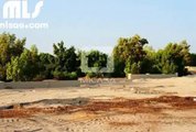 Amazing plot available in Jumeirah Golf Estates  Lime Tree Valley - mlsae.com