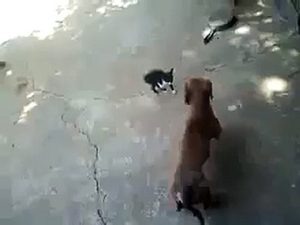 Mom is always Mom !!!