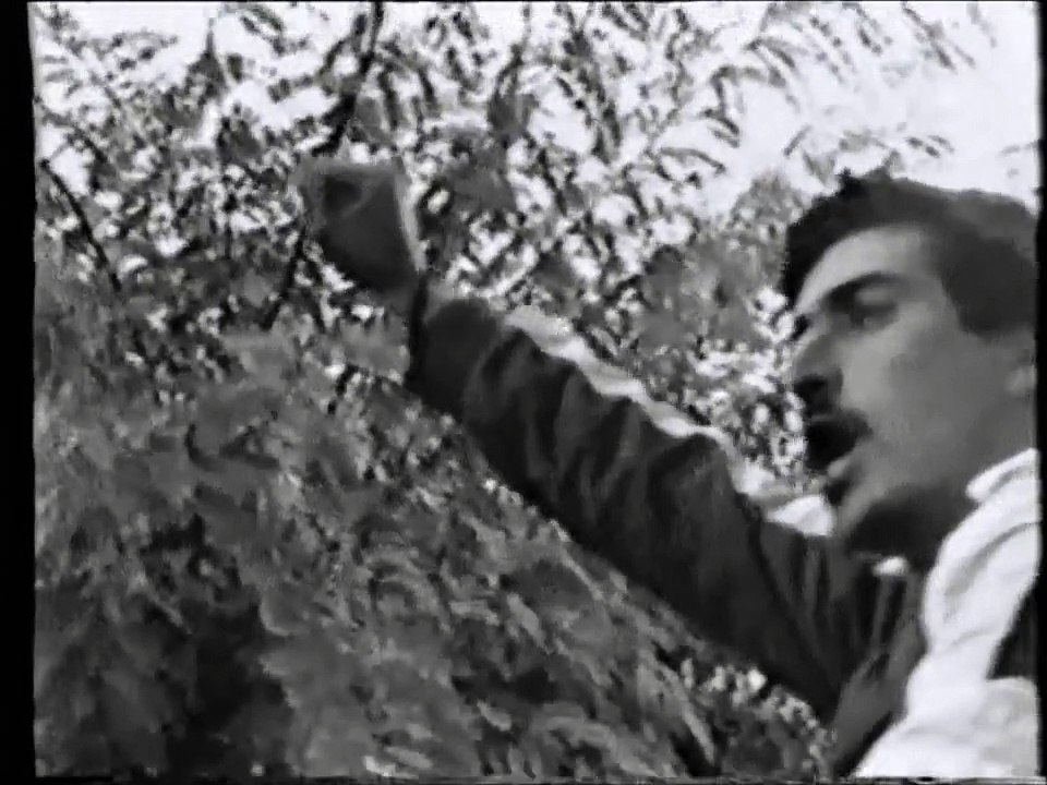 Kateb Yacine et l'arabo-islamisme