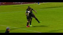 Goal Sammaritano - Niort 0-1 Auxerre - 08-05-2015
