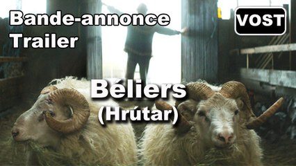 BÉLIERS (Rams  Hrútar) - Trailer / Bande-annonce [VOST|Full HD] [CANNES 2015]