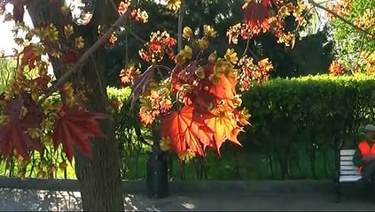 Парк Горького