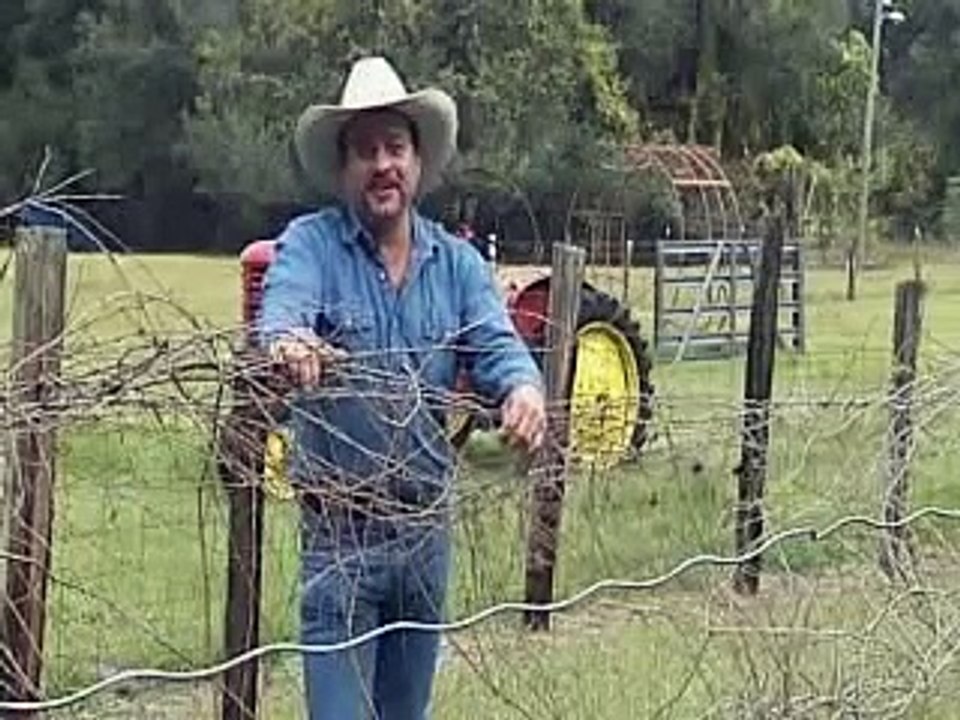 Beef Slaughter House