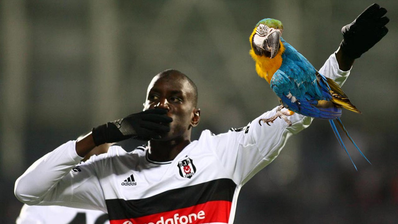 Papağandan Demba Ba'ya özel beste