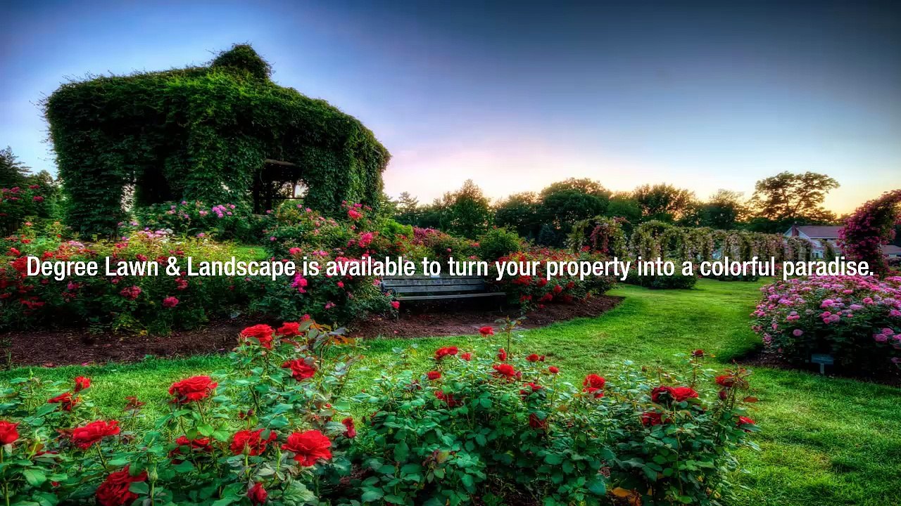 Degree Lawn: Providing The Best Lawn Care Services