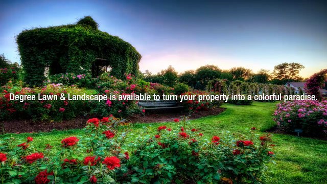 Degree Lawn: Providing The Best Lawn Care Services