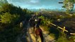 The Witcher 3 : Wild Hunt - PS4 Gameplay