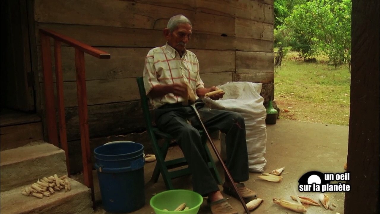 Costa Rica : "Vivre centenaire sur la péninsule de Nicoya"