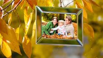After Effects Project Files - Gallery Golden Autumn - VideoHive 9625626