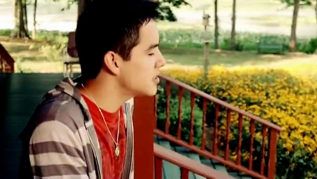 David Archuleta , Crush