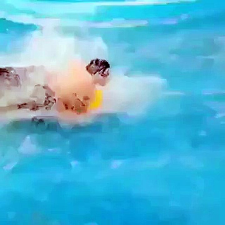 funny clip