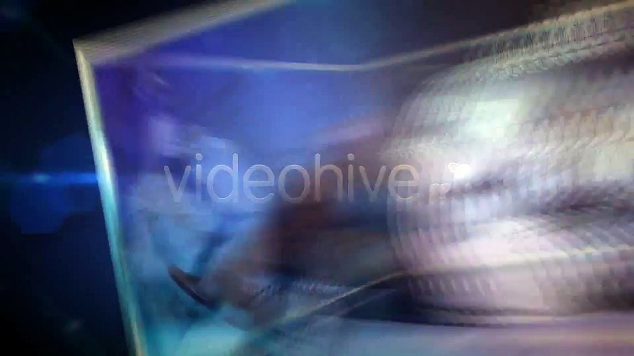 After Effects Project Files - Dynamic Corporate Promo - VideoHive 2604816